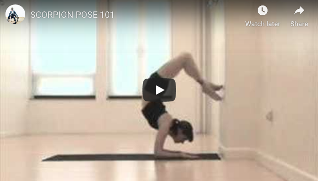 Scorpion Pose – 6 Easy Steps to Mastering Vrschikasana and Scorpion Stance